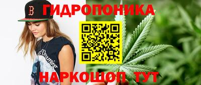 2c-b Лесосибирск