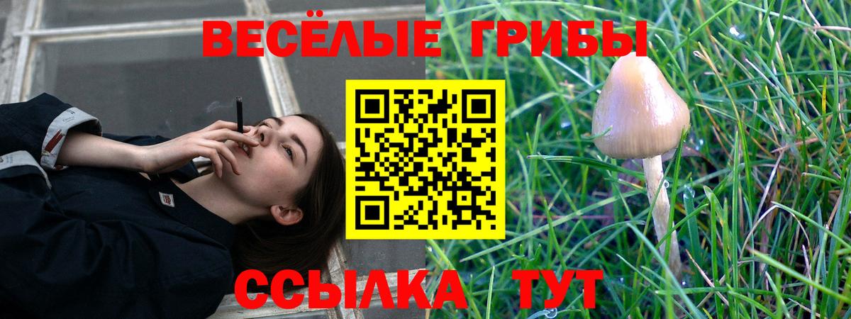 Галлюциногенные грибы Magic Shrooms Керчь